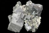 Cubic Galena & Dolomite Crystal Cluster - Missouri #73862-1